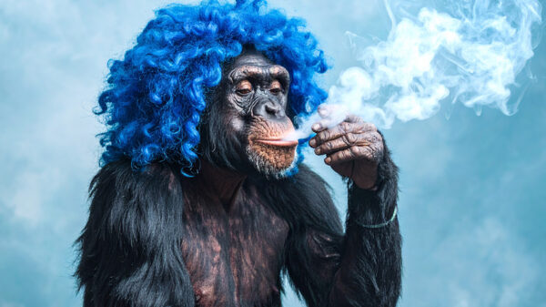 個性　That’s your edge!